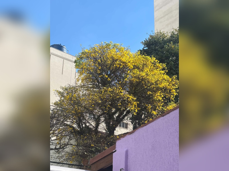 imóvel com 120m² - Perdizes - São Paulo