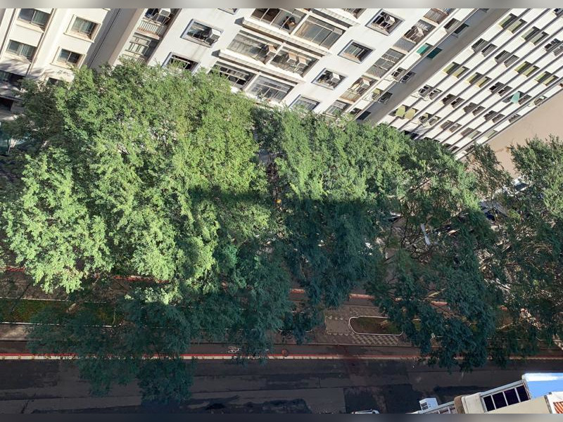 imóvel com 73m² - República - São Paulo