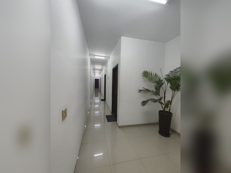 imóvel com 600m² - Santana - São Paulo