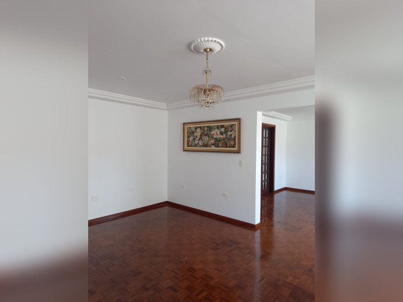 imóvel com 426m² - São Lourenço - Curitiba