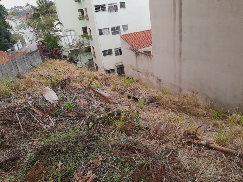 Terreno à venda Vila Albertina com 210m² e 1 quarto por R$ 499.000 - 1824179820-img-20210514-170409669.jpg