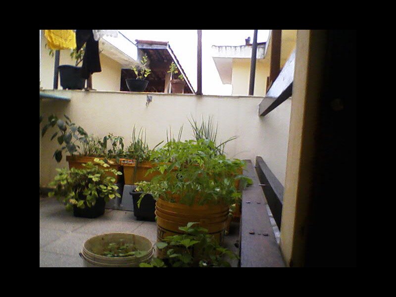 Casa à venda Jardim Represa com 100m² e 2 quartos por R$ 490.000 - 1089429183-jd-represa-4.jpg