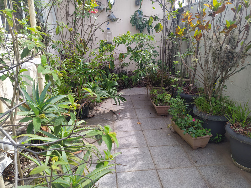 imóvel com 180m² - Horto Florestal - São Paulo