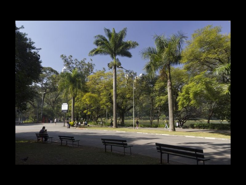 imóvel com 500m² - Vila Monumento - São Paulo