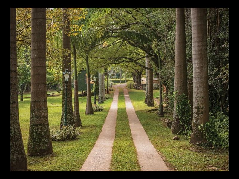 Casa à venda Joapiranga com 334m² e 4 quartos por R$ 2.400.000 - 213079942-itamaraca.jpg