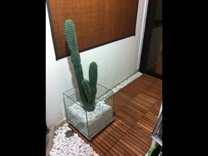 Apartamento à venda Vila Brasilio Machado com 70m² e 3 quartos por R$ 598.000 - 1471067667-IMG_0313.JPG