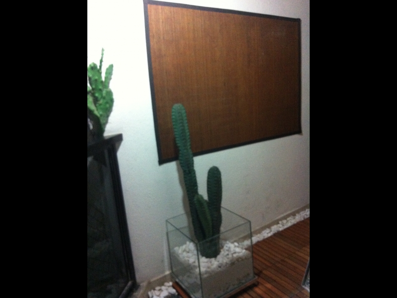 Apartamento à venda Vila Brasilio Machado com 70m² e 3 quartos por R$ 598.000 - 15299888-IMG_0312.JPG