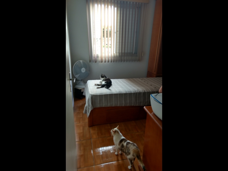 Apartamento à venda Conjunto Residencial Ingai com 55m² e 2 quartos por R$ 250.000 - 545541098-img-20170212-102537200-hdr.jpg