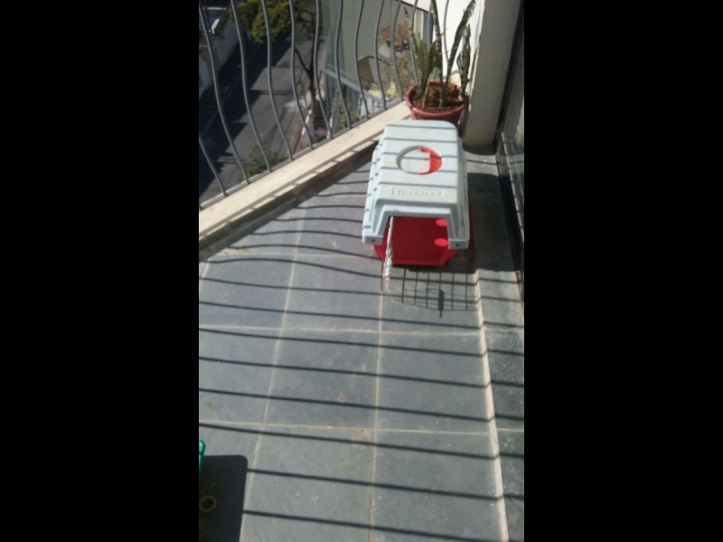 Apartamento à venda Jardim Prudência com 55m² e 2 quartos por R$ 295.000 - 1151093289-whatsapp-image-2017-07-24-at-03.jpeg