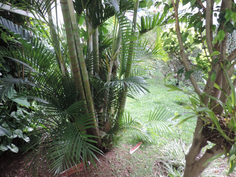 Casa à venda Vila Pereira Barreto com 360m² e 3 quartos por R$ 900.000 - 2158753-dscn1440.JPG