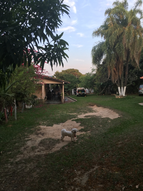 Chacara à venda Chácara São Francisco com 1000m² e 1 quarto por R$ 285.000 - 1955214994-img-6039.JPG