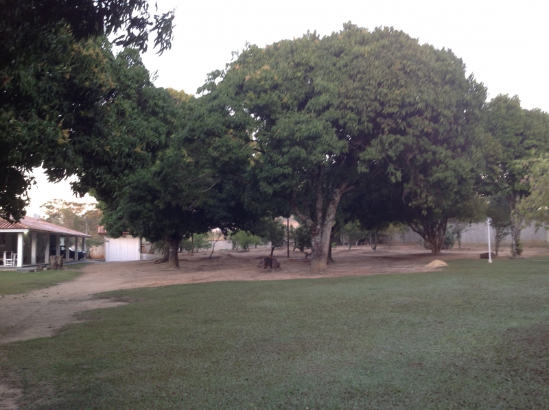 Chacara à venda Tanquinho com 5800m² e  quartos por R$ 580.000 - 1951634336-img-0232.JPG