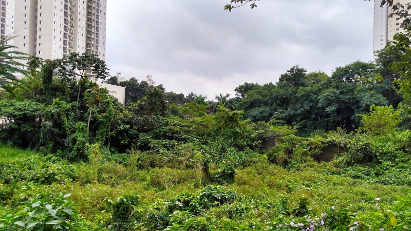 Apartamento à venda Jardim Caboré com 64m² e 2 quartos por R$ 390.000 - 1087443838-area-de-preservacao.jpg