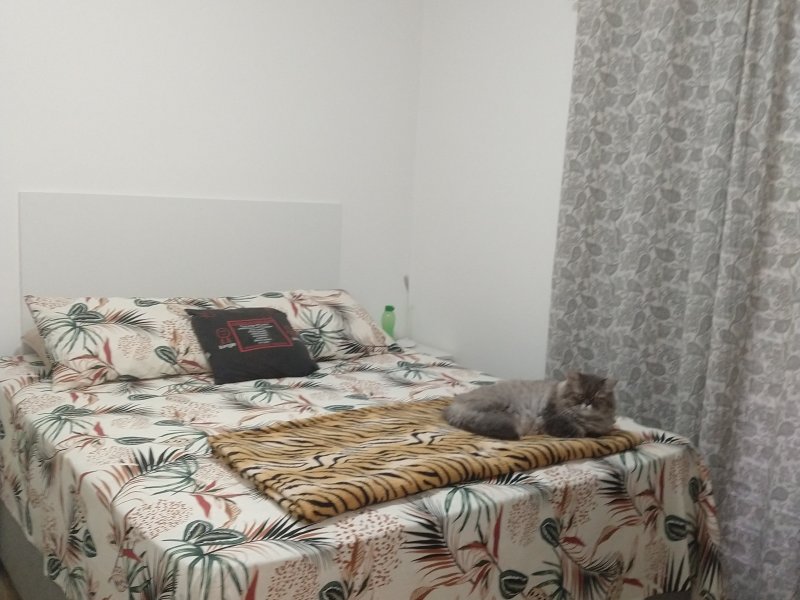Casa de condomínio à venda Cidade São Mateus com 56m² e 2 quartos por R$ 360.000 - 1357782245-img-20220219-100345480.jpg