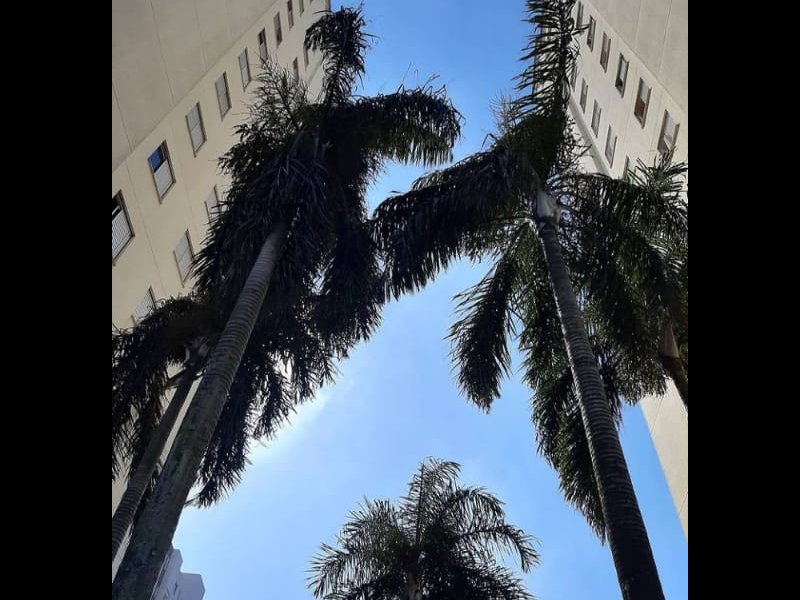 Apartamento à venda Jardim Japão com 48m² e 2 quartos por R$ 315.000 - 13721821-neovilamariaap96bl02-16.jpeg