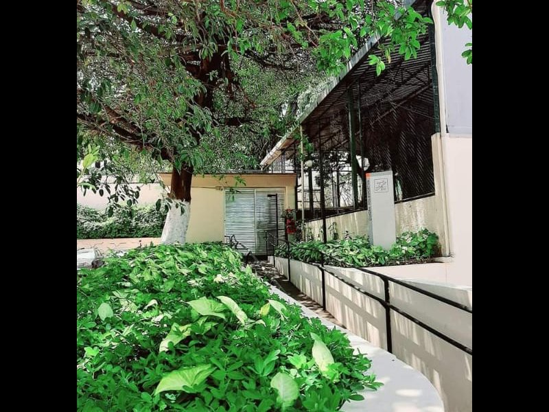 Apartamento à venda Jardim Japão com 48m² e 2 quartos por R$ 315.000 - 529851168-neovilamariaap96bl02-19.jpeg