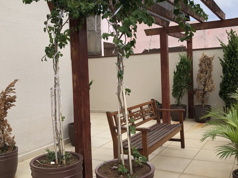 Apartamento à venda Vila Beatriz com 53m² e 2 quartos por R$ 280.000 - 417645874-9e66787d-0dd3-4e10-82ff-492ac03511b0.jpeg