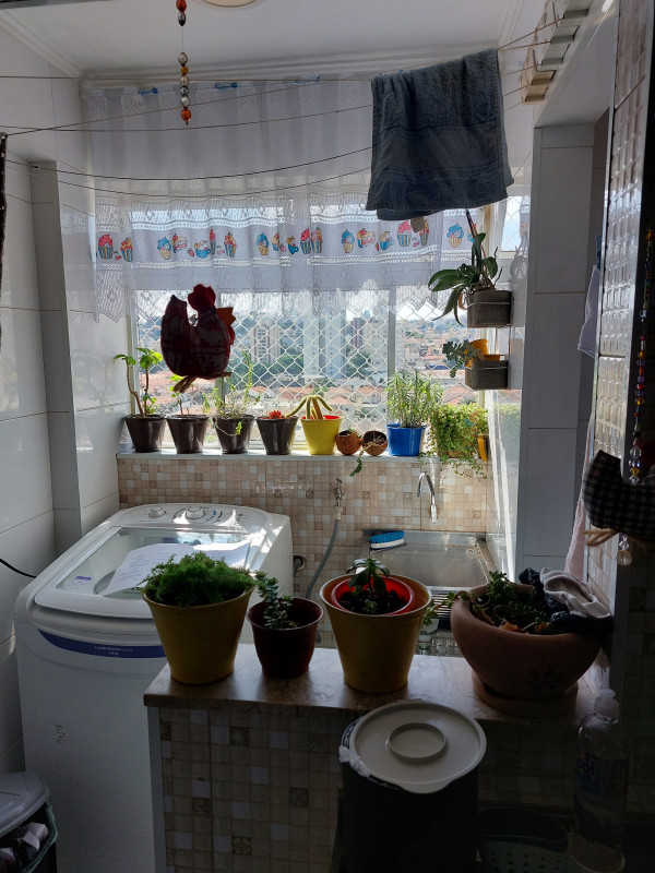 Apartamento à venda Vila Guilherme com 70m² e 2 quartos por R$ 460.000 - 1680880540-20230503-123013.jpg