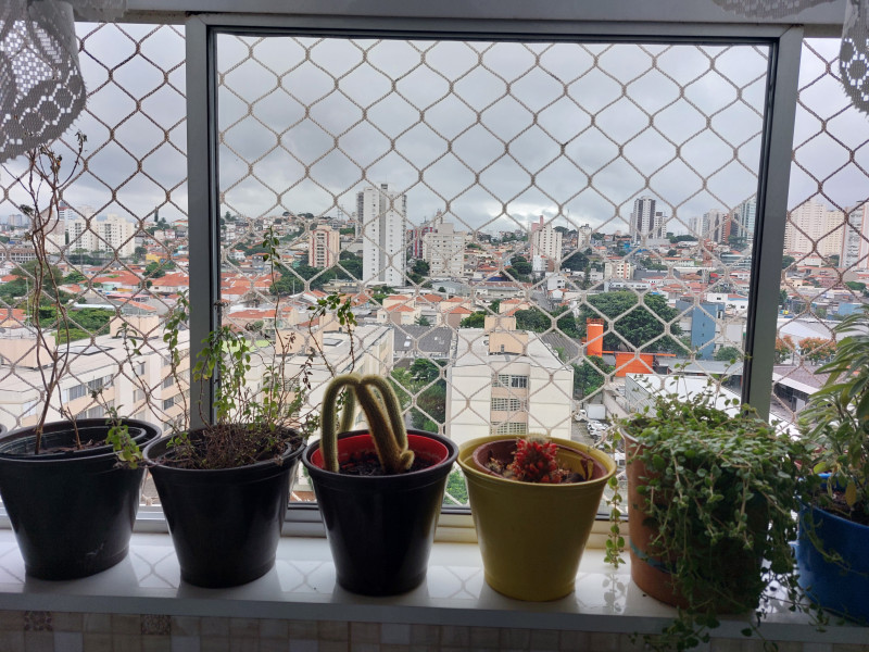 Apartamento à venda Vila Guilherme com 70m² e 2 quartos por R$ 460.000 - 521005030-20230408-164858.jpg
