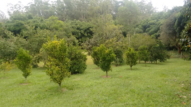 Chácara à venda Jardim Santo Antonio I com 22000m² e 5 quartos por R$ 1.944.000 - 854462746-img-20170319-111953758.jpg