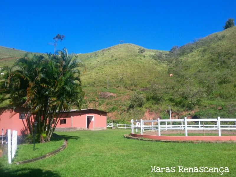 Sítio à venda Alto da Conceição com 163000m² e 5 quartos por R$ 1.400.000 - 1358075152-picsart-04-06-04.jpg