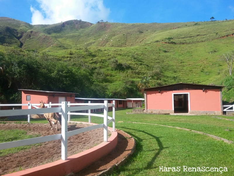 Sítio à venda Alto da Conceição com 163000m² e 5 quartos por R$ 1.400.000 - 1466529219-picsart-04-06-04.jpg