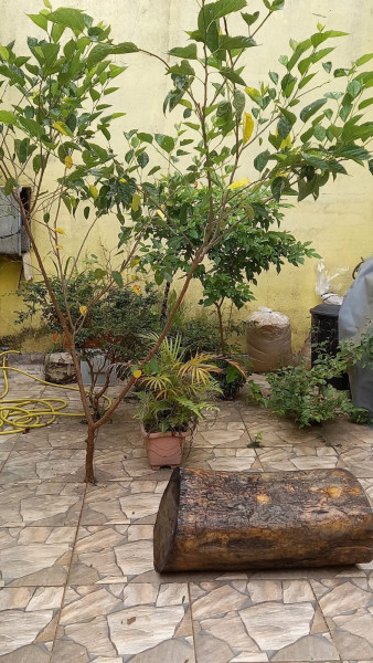 Casa à venda Lavras com 152m² e 4 quartos por R$ 450.000 - 1964601130-img-20220922-wa0005.jpg