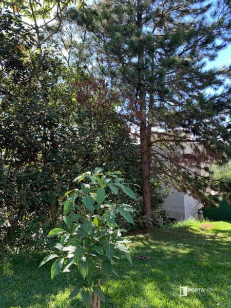 Terreno à venda Jardim Indaiá com 698m² e 1 quarto por R$ 278.000 - 752986317-lote03qd15-4.jpg