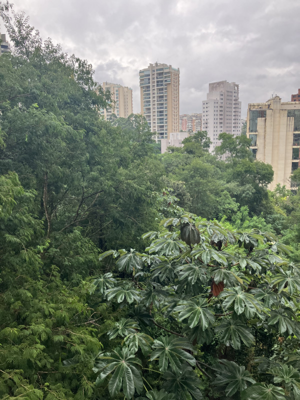 Apartamento para alugar Jardim Fonte do Morumbi com 103m² e 2 quartos por R$ 8.500 - 294274584-77fcb1dc-bd3b-4ec3-a2c1-b4aa3ec0dcef.jpeg