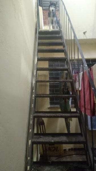 Casa à venda com 200m² e 2 quartos por R$ 180.000 - 1747769200-casa-6.jpg