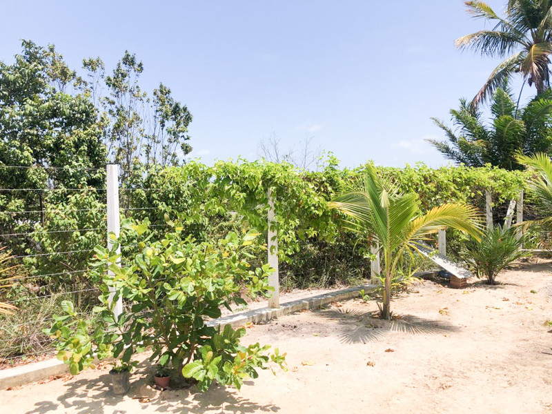 Casa à venda Porto de Galinhas com 179m² e 3 quartos por R$ 980.000 - 1086250239-25-quintal.jpg