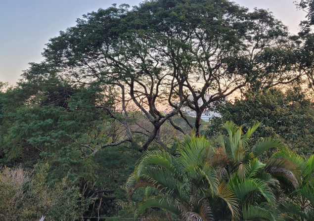 imóvel com 115m²