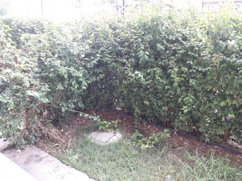 Apartamento à venda Jacarepaguá com 64m² e 2 quartos por R$ 440.000 - 1554712882-6.jpg