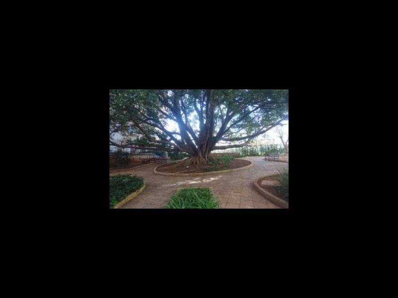 imóvel com 76m² - Picanço - Guarulhos