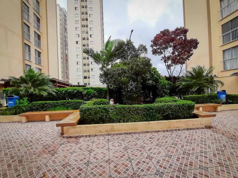 Apartamento à venda Vila Antonieta com 52m² e 2 quartos por R$ 256.000 - 240878297-3.jpg