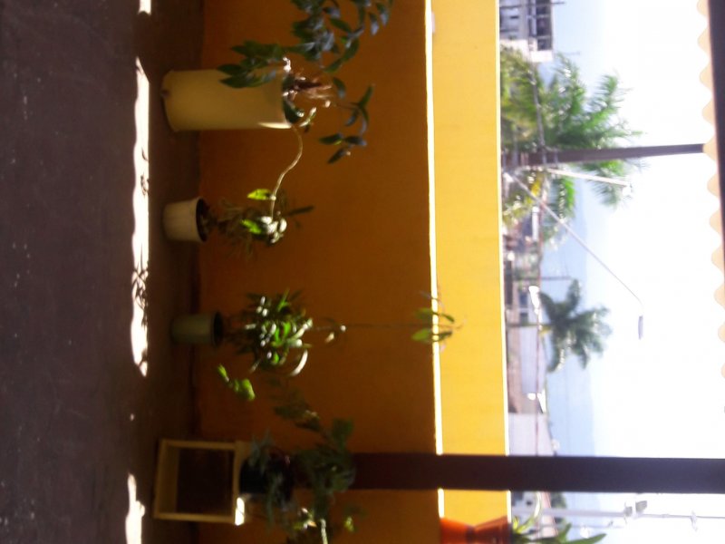 Casa à venda Vila Mirim com 242m² e 2 quartos por R$ 430.000 - 1644865692-img-20180408-wa0267.jpeg