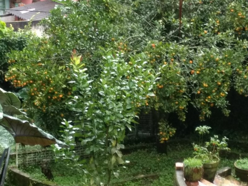 Casa à venda Rio Grande com 320m² e 4 quartos por R$ 610.000 - 226233373-img-20170519-085411944.jpg