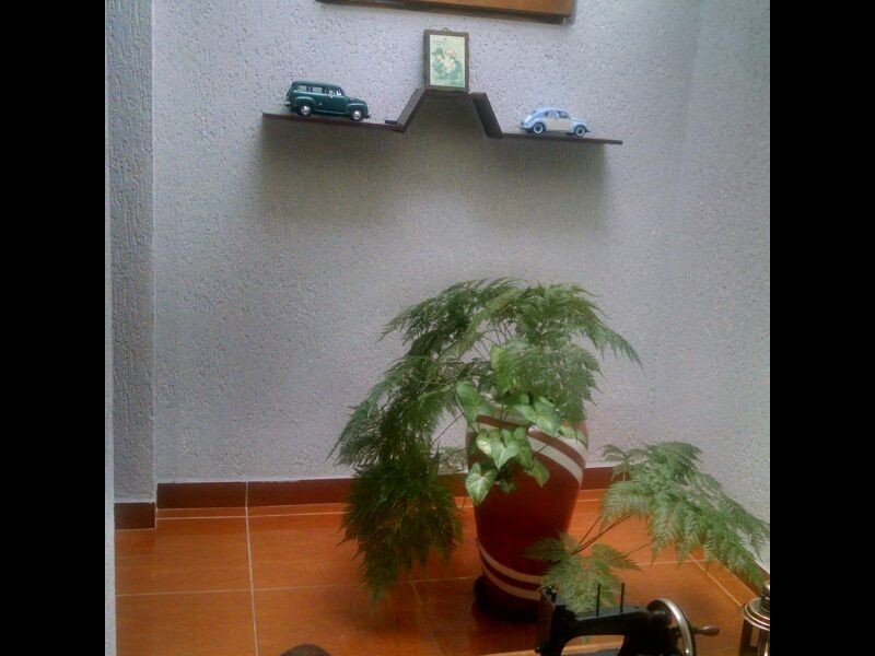 imóvel com 224m² - Demarchi - São Bernardo do Campo