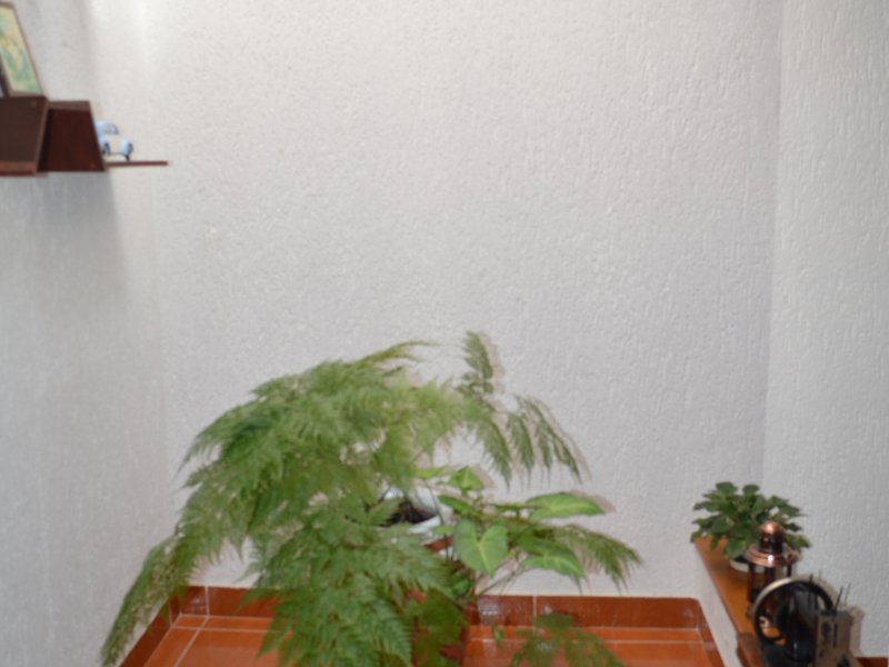 imóvel com 224m² - Demarchi - São Bernardo do Campo