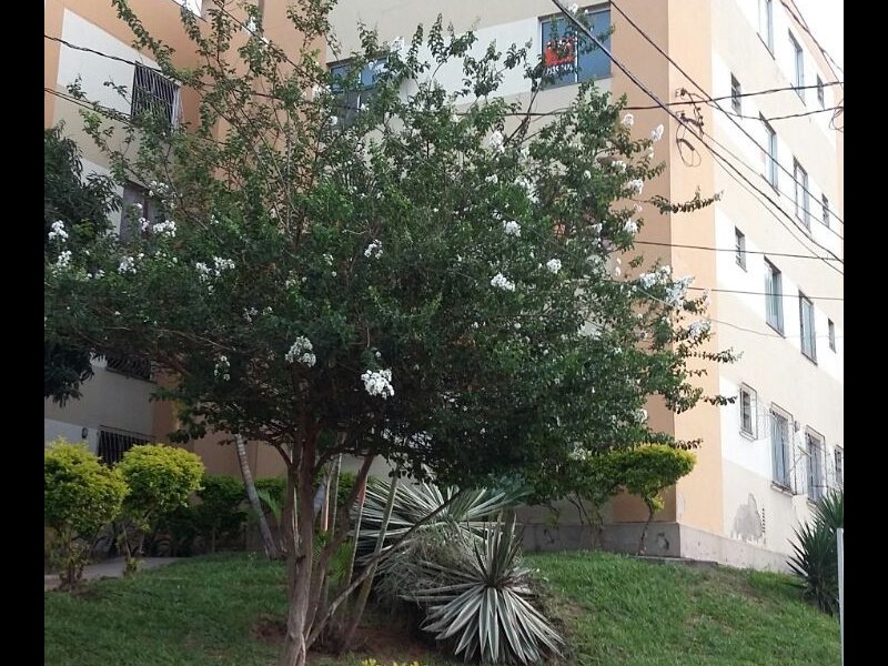 imóvel com 52m² - Bonsucesso - Belo Horizonte