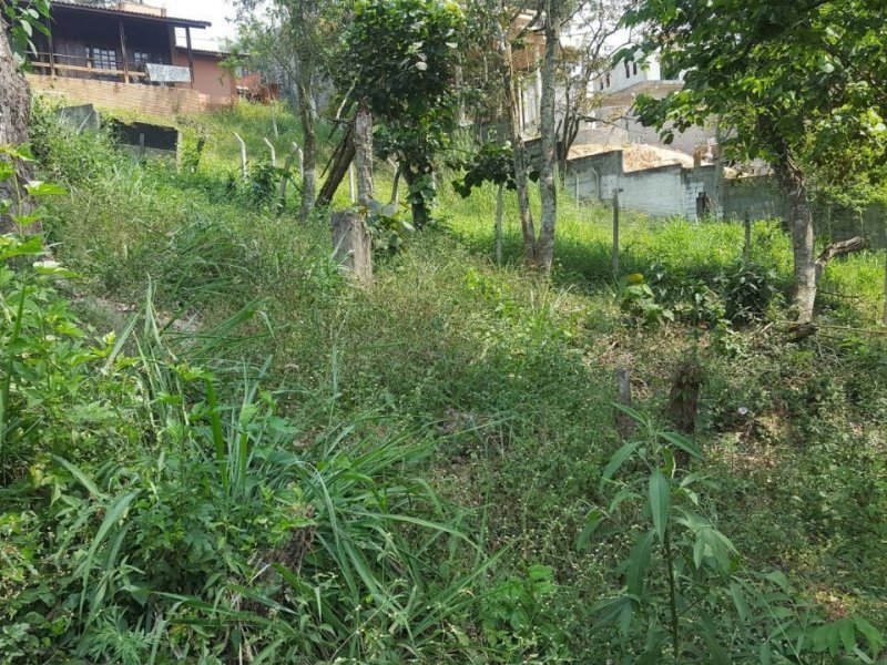 imóvel com 800m² - Jardim três montanhas - Osasco