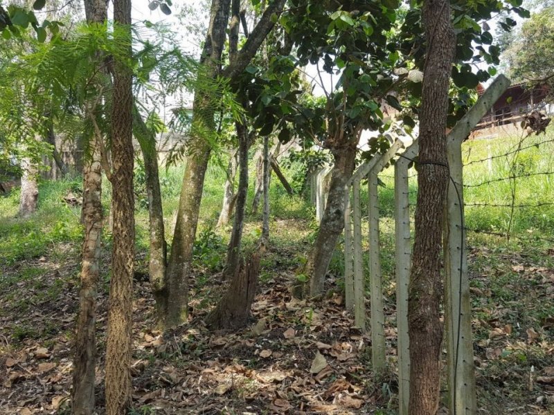 imóvel com 800m² - Jardim três montanhas - Osasco
