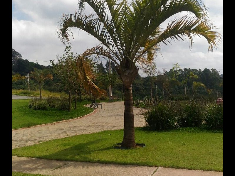 imóvel com 180m² - Jd Nova Jaguari - Santana de Parnaiba