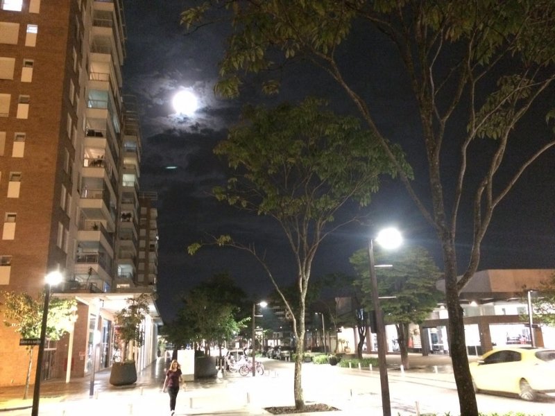 imóvel com 84m² - Cidade Universitária Pedra Branca - Palhoça