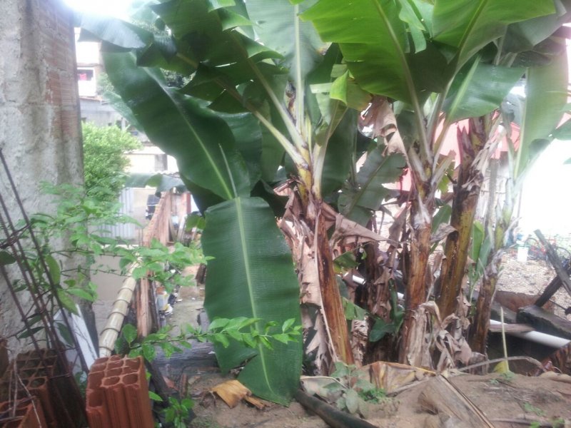 imóvel com 80m² - severina - Ribeirão das Neves