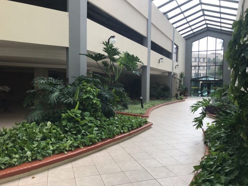 imóvel com 82m² - Cambuci - São Paulo