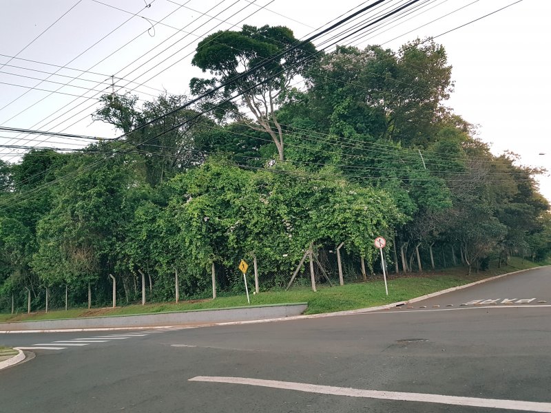 Apartamento à venda Jardim do Sol com 84m² e 3 quartos por R$ 325.000 - 212492427-20171113-213103.jpg