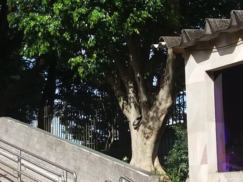 imóvel com 65m² - Jardim da Saúde - São Paulo