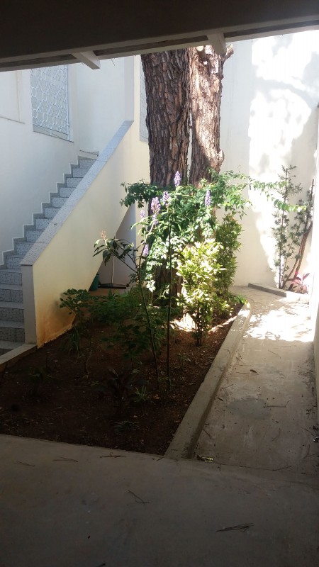 imóvel com 69m² - Cidade Ademar - São Paulo