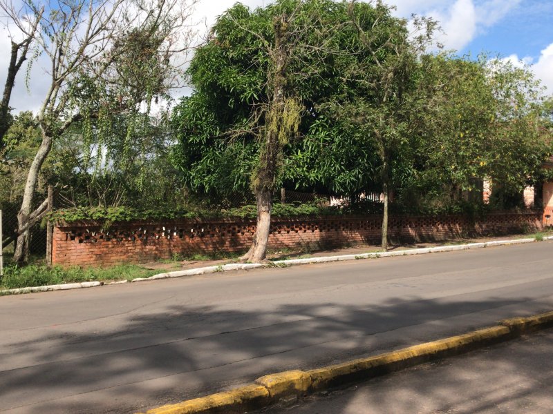 Terreno à venda Bela vista com 2300m² e  quartos por R$ 450.000 - 2093852681-927114a0-3d61-47a3-9c4e-3ae28d080bca.jpeg
